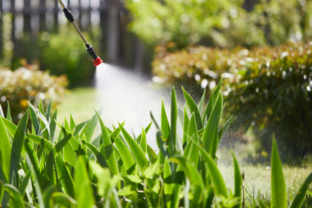 24/7 Emergency Cockroach Control experts in Rogers, TX
