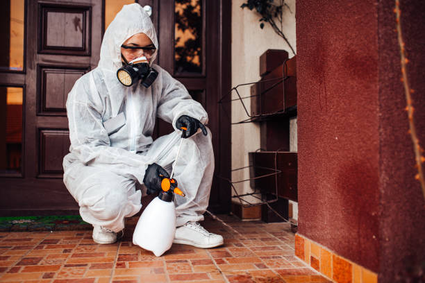 Reliable Cockroach Control contractor in Rogers, TX by Nex Pest Control